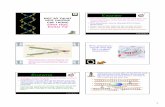 Sinh Học Phân Tử - WordPress.com...3 TRANSLATION ðnGene (gen): m˚Ùt o˚¡n DNA mang m˚Ùt ch˚Øc nngnh˚¥t ˚¸nh trong quÆ trình truy˚`n thông tin di truy˚`n. TrŒn