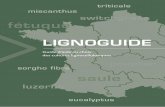 LIGNOGUIDE - France-Miscanthus · 2019-02-14 · rotavator qui permet de détruire les repousses et de fractionner le rhizome. Un double passage de rotavator permet de dessécher