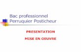 Bac professionnel Perruquier Posticheursbssa.enseigne.ac-lyon.fr/spip/IMG/pdf/2013-presentation...Bac professionnel Perruquier Posticheur Champs d’activités Le Perruquier posticheur