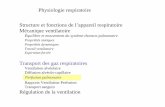 Transport des gaz respiratoires · West JB. Physiologie respiratoire. Notions essentielles. Paris: Arnette, 1993. 1 2 RVP = =0.92 torr.min.l −1 6 5.5 1: RVP = =0.63torr.min.l−1