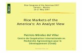 Rice Markets of the America’s: An Analyst · PDF file Rice Markets of the America’s: An Analyst View Patricio Méndez del Villar Centre de Coopération Internationale en Recherche