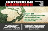 Les engagements du Cameroun pour préserver la …KPDC et DPDC, les deux sociétés qui géraient les centrales susmentionnées. « Nous pensons qu’il y a une compétition qui est