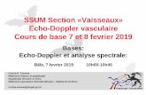 SSUM Section «Vaisseaux» Echo-Doppler vasculaire Cours de … · 2019-02-06 · Bâle, 7 fevrier 2019 10h00-10h45 SSUM Section «Vaisseaux» Echo-Doppler vasculaire Cours de base