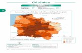 Céréales - Agriculturedraaf.hauts-de-france.agriculture.gouv.fr/IMG/pdf/... · 2018-02-19 · 18 - Agreste - Le panorama 2016 - n° 55 - Srise Hauts-de-France 2 Betterave industrielle