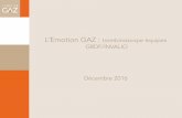 L’Emotion GAZ : trombinoscope équipes GRDF/INVALIO ...everbrand-partage.s3.amazonaws.com/enligne/... · L’Emotion GAZ : trombinoscope équipes GRDF/INVALIO Décembre 2016 . Management