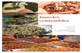 Projet tutor£© Insectes-comestibles - ... x !3(X)8+Z;5; Y Y Y Y Y Y Y Y Y Y Y Y Y Y Y Y Y Y Y Y Y Y