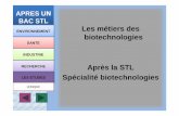 APRES UN BAC STL Les métiers des biotechnologies Après la ...etab.ac-poitiers.fr/lyc-venise-verte-niort/IMG/pdf/metiers_apres-stl-biotechno.pdf · Amandine, ingénieure d’étude