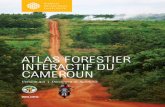 ATLAS FORESTIER INTERACTIF DU CAMEROUNpdf.wri.org/cameroon_forest_atlas_v3_francais.pdf · les impacts de l’Atlas depuis la parution de la Version 1.0, veuillez consulter l’Annexe