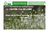Atlas de la flore sauvage du Centre --Val de Loirecbnbp.mnhn.fr/cbnbp/ressources/telechargements/1_JCordier...Conservatoire botanique national du Bassin parisien -CBNBP / MNHN 7èmes