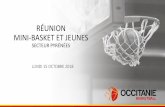 RÉUNION MINI-BASKET ET JEUNEScdbb12.free.fr/minibasket/minibasket-2018-2019/compte...4 LA PLACE DU MINI-BASKET Licenciés Seniors Jeunes Mini-Basket 09-Ariège 425 595 395 31-Haute