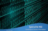 Numérique et science informatiquelyceevaclavhavel.fr/sites/default/files/2019-01/Bac 2021 - NSI.pdf · • Traitement de données en tables : - Initiation aux bases de données •