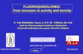 FLUOROQUINOLONES: from structure to activity and toxicity · PDF file FLUOROQUINOLONES: from structure to activity and toxicity F. Van Bambeke, Pharm. D. & P. M. Tulkens, MD, PhD Unité