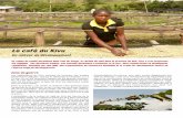 contre l'érosion, à la régénération des sols et à la ... Café du Kivu.pdf · vert olive : ce qu’on appelle le « café vert ». Beaucoup plus au nord, au bord du lac Kivu,