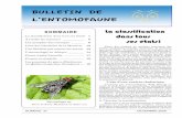 SOMMAIRE La classification La classification dans tous ses ...entomofaune.qc.ca/Bulletin/Bulletin_37.pdf · conduit permettant la libération du sperme. ... Depuis 1998, le trafic