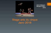 Stage arts du cirque Janv 2018 - Académie de Toulouse · 2018-05-21 · institutionnelles et esthétiques du cirque, a son artification : c’est parce que reconnu en tant qu’art