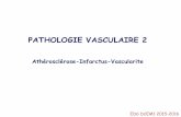 PATHOLOGIE VASCULAIRE 2 - medecine.ups-tlse.frmedecine.ups-tlse.fr/dcem1/anapath/Lamant/2016/ED6- VASCULAIRE... · Infection??? Auto-immun (HLA DR4) ?? • Quels sont les risques