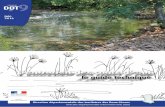 DDT - Accueil...L’entretien des cours d’eau le guide technique DDT79 Juin 2016 Direction départementale des territoires des Deux-Sèvres Direction départementale interministèrielle