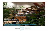 Programme des enseignementsensai.fr/wp-content/uploads/2019/09/Brique_3A_GDRIF-19-20-min.pdf · savoirs maîtrisés à l’issue des deux premières années sont appliqués au domaine
