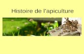 Histoire de l’apiculture · Histoire de l’apiculture L’apiculture a débuté à des époques différentes selon les régions du monde. Les Mayas d’Amérique du Sud possédaient