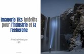 Imagerie THz: intérêts pour l’industrie et la rechercheiramis.cea.fr/meetings/PTC_ID/THz imaging - Workshop CEA-i2s.pdf · THz imaging for Research THz beam alignment LiNbO3 based