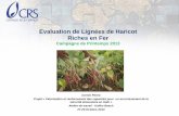 Evaluation de Lignées de Haricot Riches en Ferlac.harvestplus.org/wp-content/uploads/2015/09/Evaluation-de-lignees-de-Haricot-ridhes...Evaluation de Lignées de Haricot Riches en