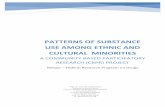 PATTERnS of substance use among ethnic and cultural …among ethnic and cultural minorities have also been documented in the Belgian context (Vandevelde et al., 2003; Verdurmen et