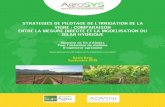 STRATEGIES DE PILOTAGE DE L’IRRIGATION DE LA VIGNE : …agrosys.fr/wp-content/uploads/2018/10/Irrigation-durable... · 2018-10-16 · the yield and the quality of the grapes. AdVini