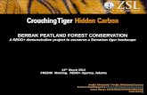 BERBAK PEATLAND FOREST CONSERVATION...- A Rationale Background –Key Threats Deforestation and Forest Degradation The Berbak peat swamp forests are threatened by deforestation and