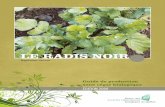LE RADIS NOIR - La Guilde des herboristes · 2015-08-21 · 2 Filière des plantes ... résultat ou aux conséquences de la mise en pratique des renseignements contenus dans ce document.
