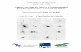 Sujet de stage : Classification de Galaxieslpc2e.cnrs-orleans.fr/~theureau/Nezha_ElBakri_1.pdf · La classification des galaxies, historiquement basée sur l’observation à l’œi