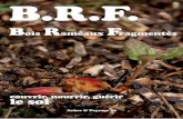 B.R.F. · Les plus vivants sont les sols forestiers, l’utilisation des BRF permet de reproduire ce modèle en assurant un couvert permanent aux sols cultivés. les BRF nourrissent