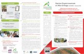 station expérimentale en Maraî · PDF file D’un point de vue sanitaire, seul l’oïdium a posé problème sur la culture de fraises précoces cette année. Dans ces conditions,