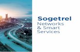 Networks & Smart Services...Migration, Swap, Installation de stations de base (BTS), émetteurs TNT, sites 3G/4G, relais FH Sécurisation de Data Center Opérateur et de MSC Recherche,