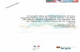 Impact des prélèvements d’eau souterraine sur le débit de ...infoterre.brgm.fr/rapports/RP-57480-FR.pdf · Impact des prélèvements d’eau souterraine sur le débit de la rivière