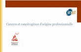 Cancers et cancérogènes d’origine professionnellemedias.irsst.qc.ca/videos/1404_sc_cr_HD_2010-0007_fr_pdf.pdf · 2015-10-07 · Pertinence Programme national de santé publique
