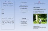 Qigong & méditation - Overblogdata.over-blog-kiwi.com/1/04/47/52/...qigong...ete.pdf · exercices de Qigong et de méditation que vous pourrez reproduire chez vous pour en bénéficierSamedi