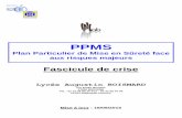 PPMS Boismard 2015 - ac-rouen.frlycees.ac-rouen.fr/boismard/divers_pdf/PPMS.pdf · Plan Particulier de Mise en Sûreté - Lycée Augustin Boismard, Brionne 13 Recommandations particulières
