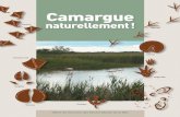 Camarguesaintesmaries.com/fr/assets/pdf/Camargues_Naturellement... · 2016-03-29 · étangs sur 4 km. À 30 m avant le Mas de Cacharel, emprunter à droite la piste de Méjanes.