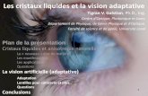 Les cristaux liquides et la vision adaptative€¦ · Les cristaux liquides et la vision adaptative Tigran V. Galstian, Ph.D., Ing. Centre d’Optique, Photonique et Laser, Département