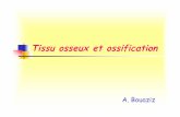 TISSU OSSEUX ET OSSIFICATION - cours, examenscours-examens.org/.../H2/TISSUOSSEUXETOSSIFICATION.pdf2. Ossification secondaire Se déroule sur l’os périostique. Les B.C.V. atteignent
