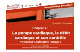UEMPSfO - · PDF file 2013-10-16 · Chapitre 4 : La pompe cardiaque, le débit cardiaque et son contrôle Professeur Christophe RIBUOT Année universitaire 2011/2012 Université Joseph