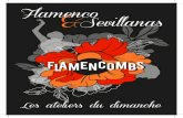 Flamenco Sevillanas · Sevillanas : débutant(e) de 12h à 13h30 / intermédiaire de 10h30 à 12h Les ateliers techniques (zapateado ou palmas) de 11h à 12h30 Conception graphique