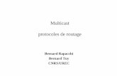 Multicast protocoles de routage - univ-pau.frweb.univ-pau.fr/~cpham/ENSEIGNEMENT/COMMUN/multicast.pdf · 2002-10-08 · Routage DVMRP échange de tables de routage entrerouteursDVMRP