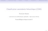 Classification ascendante hiérarchique (CAH)math.agrocampus-ouest.fr/infoglueDeliverLive/digitalAssets/100457... · Casarsa Parkhomenko YURKOV Lorenzo NOOL BOURGUIGNON MARTINEAU