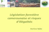 Législation forestière camerounaise et risques...3. Caractéristiques un bois légal au Cameroun? 4. Vérification de la légalité d’un bois en provenance du Cameroun II- les