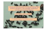 Chemical communication of European cabbage flea beetles ...csalomontraps.com/7publications/cabbagefleabeetles3.pdf · Chemical communication of European cabbage flea beetles (Coleoptera: