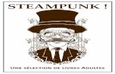 STEAMPUNK - Agglo TLP...Deux spécialistes du steampunk et un photographe ont sillonné la France afin de reconstituer un carnet de voyage écrit pendant la Commune et qui aurait inspiré