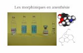 Les morphiniques en anesthésie - stef. Sequence/Diaporama des... · PDF file glutamate (-) opioides endogénes CGRP-Interpretation du stimulus nociceptif comme douleur ou non selon
