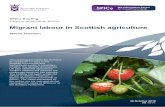 Migrant labour in Scottish agriculture · 2018-10-30 · 30 October 2018 SB 18-71 SPICe Briefing Pàipear-ullachaidh SPICe Migrant labour in Scottish agriculture Steven Thomson This