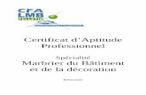 Certificat d’Aptitude Professionnelcfabatimentfelletin.fr/images/photos/marb/referentiel/...Le titulaire de la spécialité Marbrier du bâtiment et de la décoration de certificat